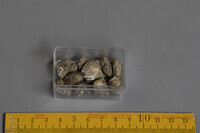 F 01483
<br/>
<br/>
<em></em>